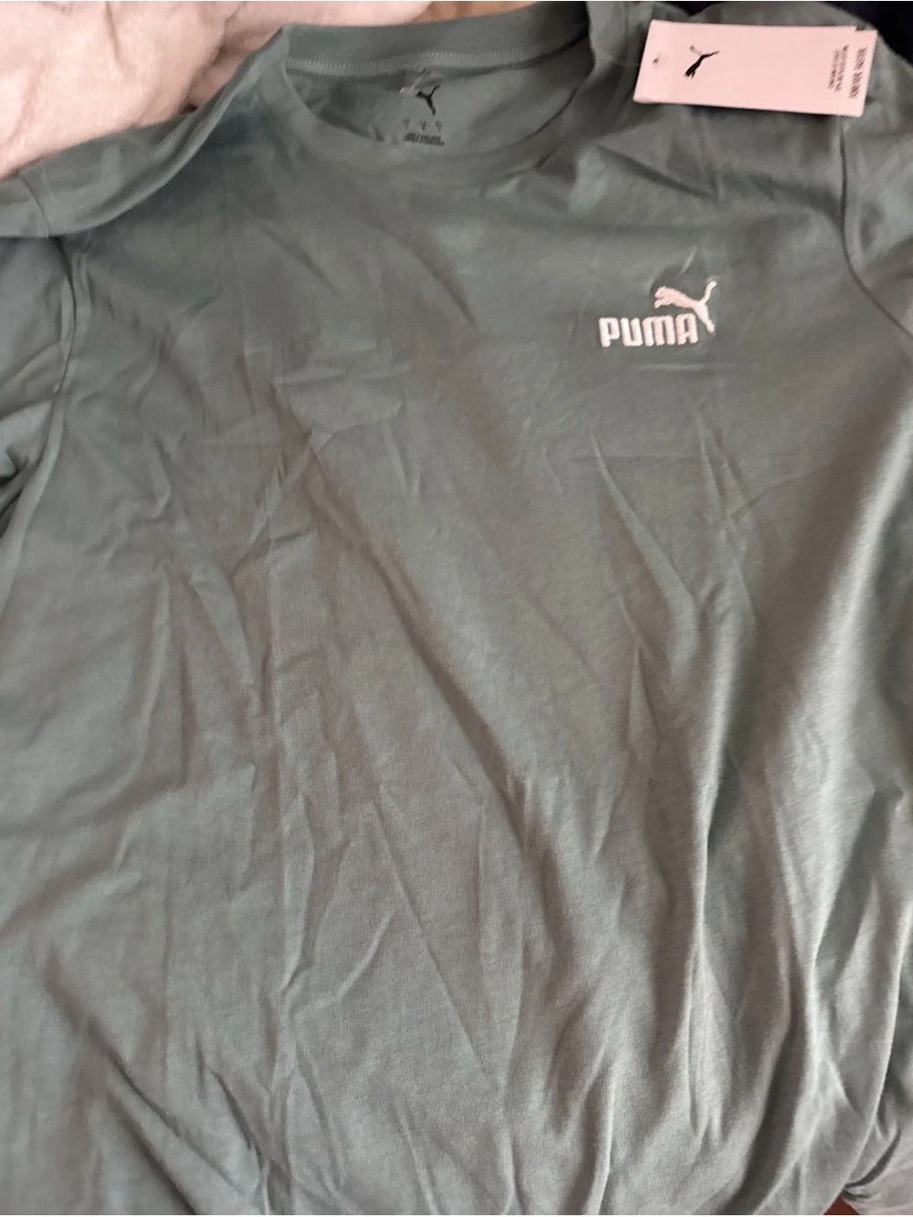 Puma Men’s Crew Neck T-Shirt in Sage Green